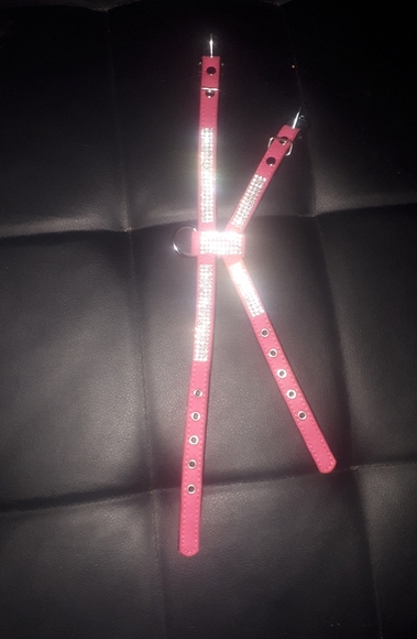 Cat/dog halter/leash - Picture 12 of 13